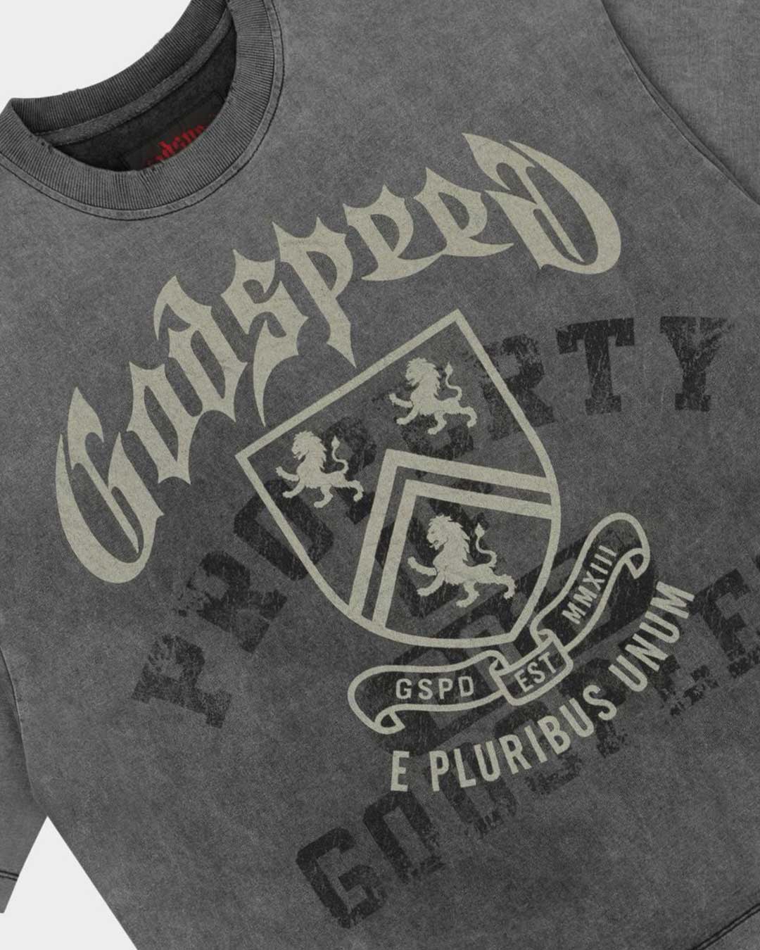 Godspeed Collegiate Tee Grey Wash